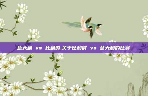 意大利 vs 比利时,关于比利时 vs 意大利的比赛