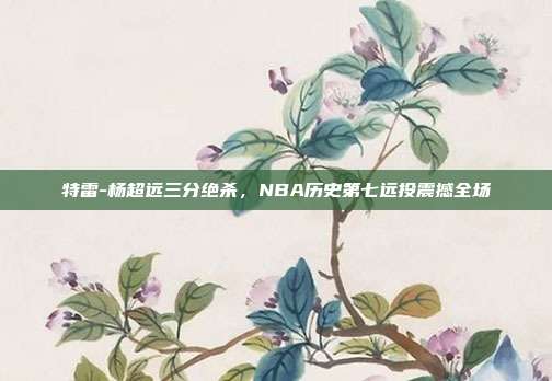 特雷-杨超远三分绝杀，NBA历史第七远投震撼全场