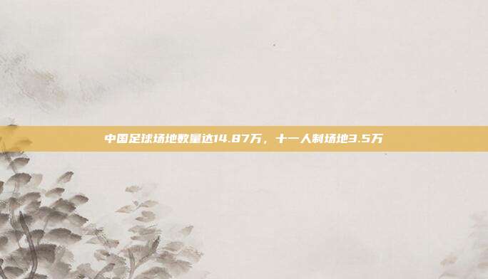 中国足球场地数量达14.87万，十一人制场地3.5万