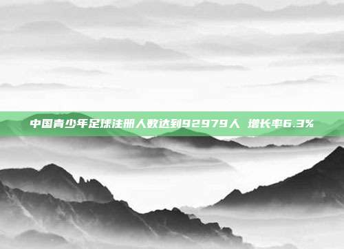 中国青少年足球注册人数达到92979人 增长率6.3%