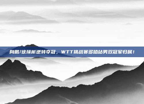 向鹏/徐瑛彬逆转夺冠，WTT挑战赛多哈站男双冠军归属！