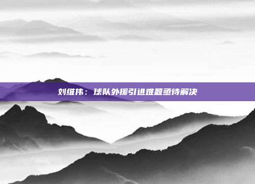 刘维伟：球队外援引进难题亟待解决