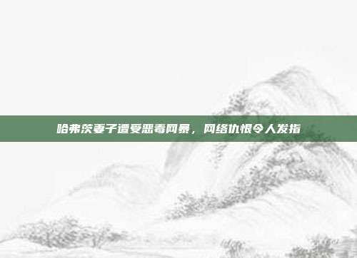 哈弗茨妻子遭受恶毒网暴，网络仇恨令人发指