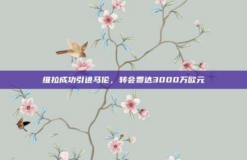 维拉成功引进马伦，转会费达3000万欧元