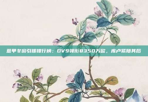 意甲冬窗引援排行榜：DV9领衔8350万欧，库卢紧随其后