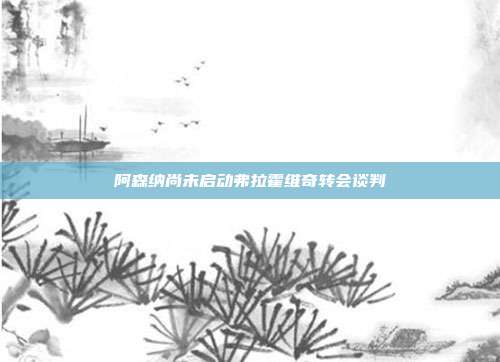 阿森纳尚未启动弗拉霍维奇转会谈判