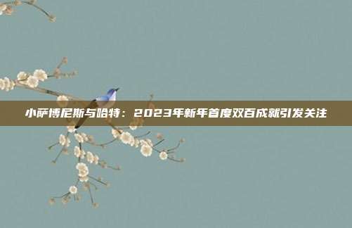 小萨博尼斯与哈特：2023年新年首度双百成就引发关注