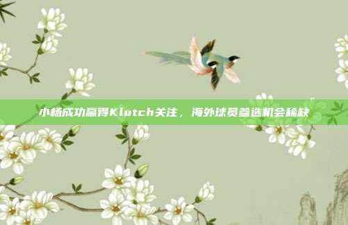 小杨成功赢得Klutch关注，海外球员参选机会稀缺