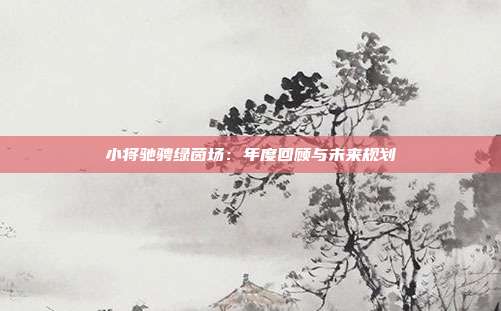 小将驰骋绿茵场：年度回顾与未来规划