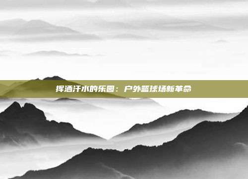 挥洒汗水的乐园：户外篮球场新革命