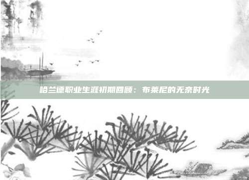 哈兰德职业生涯初期回顾：布莱尼的无奈时光