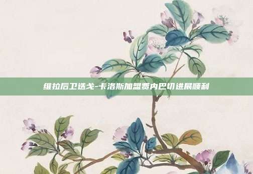 维拉后卫迭戈-卡洛斯加盟费内巴切进展顺利