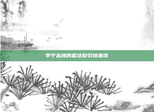 李宁品牌的篮球鞋引领潮流