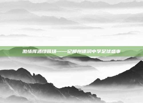 激情挥洒绿茵场——记柳州德润中学足球盛事