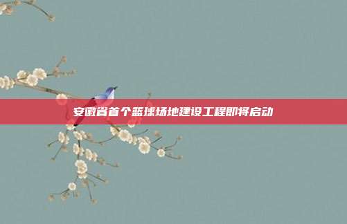 安徽省首个篮球场地建设工程即将启动