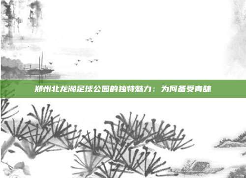 郑州北龙湖足球公园的独特魅力：为何备受青睐