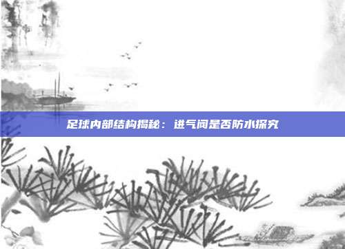 足球内部结构揭秘：进气阀是否防水探究