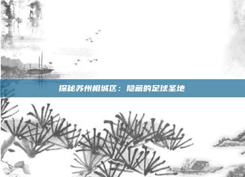 探秘苏州相城区：隐藏的足球圣地