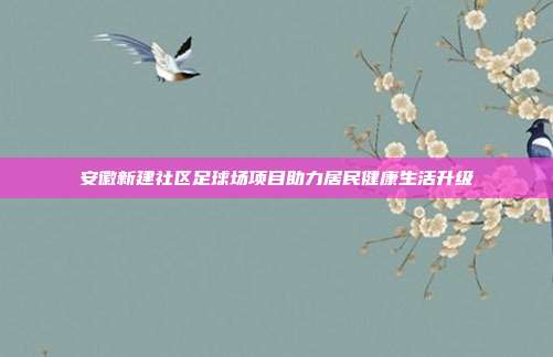 安徽新建社区足球场项目助力居民健康生活升级