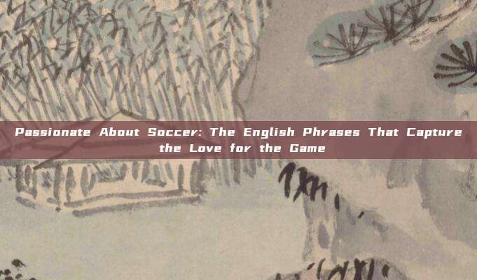 Passionate About Soccer: The English Phrases That Capture the Love for the Game