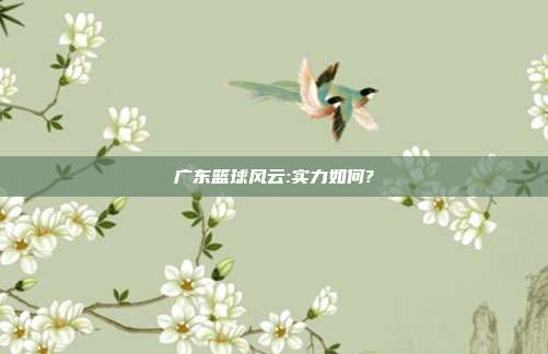 广东篮球风云:实力如何?