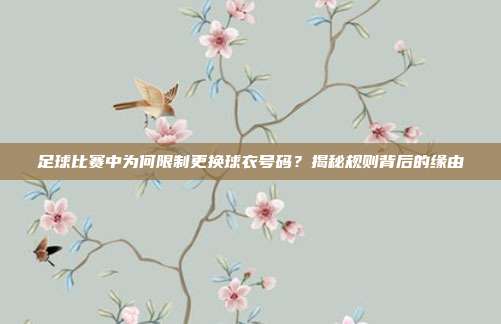 足球比赛中为何限制更换球衣号码？揭秘规则背后的缘由