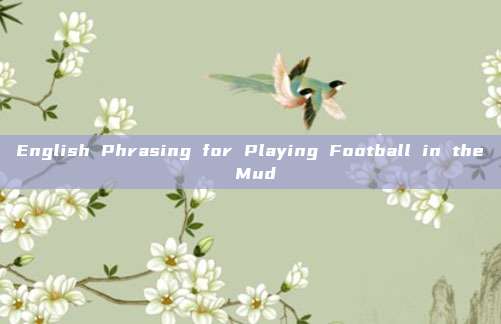 English Phrasing for Playing Football in the Mud