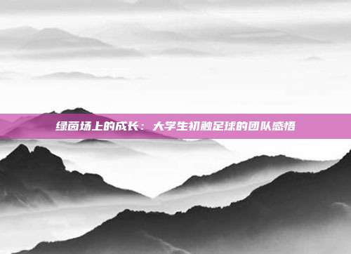 绿茵场上的成长：大学生初触足球的团队感悟