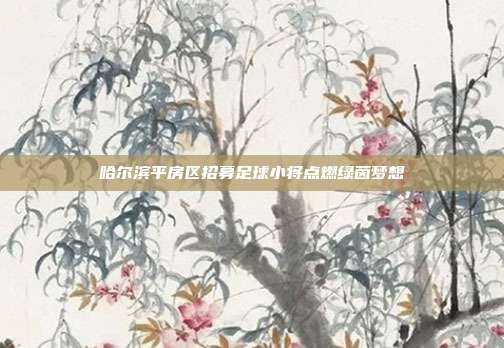 哈尔滨平房区招募足球小将点燃绿茵梦想