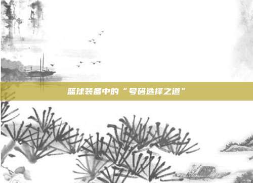 篮球装备中的“号码选择之道”