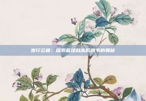 步行云端：探索篮球鞋高低调节的奥秘