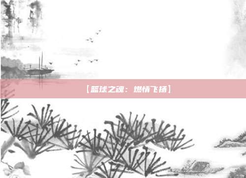 【篮球之魂：燃情飞扬】