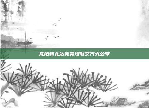 沈阳新北站体育场联系方式公布