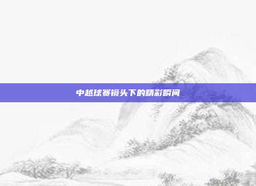 中越球赛镜头下的精彩瞬间