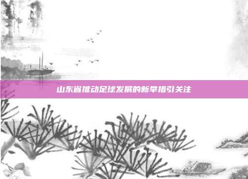 山东省推动足球发展的新举措引关注