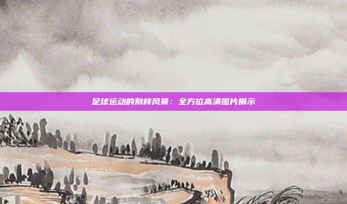 足球运动的别样风景：全方位高清图片展示