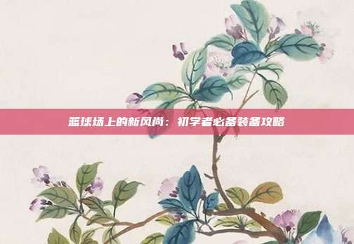 篮球场上的新风尚：初学者必备装备攻略