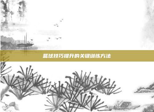 篮球技巧提升的关键训练方法