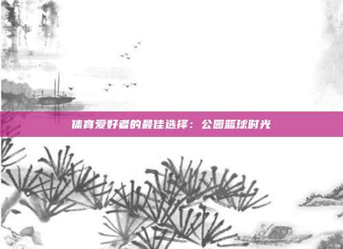 体育爱好者的最佳选择：公园篮球时光