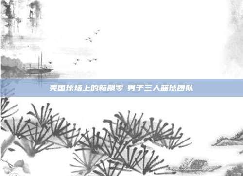 美国球场上的新飘零-男子三人篮球团队