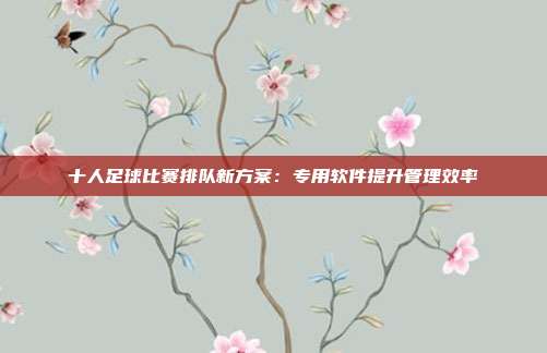 十人足球比赛排队新方案：专用软件提升管理效率