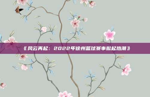 《风云再起：2022年徐州篮球赛事掀起热潮》