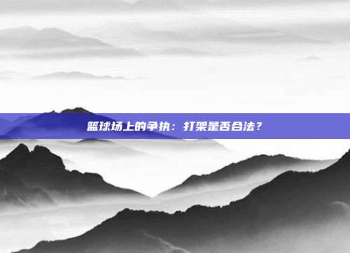 篮球场上的争执：打架是否合法？