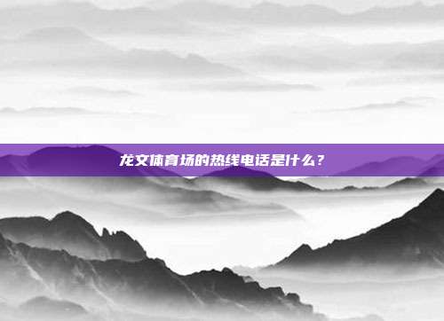 龙文体育场的热线电话是什么？