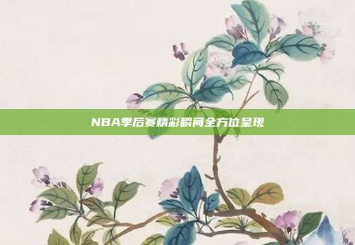 NBA季后赛精彩瞬间全方位呈现