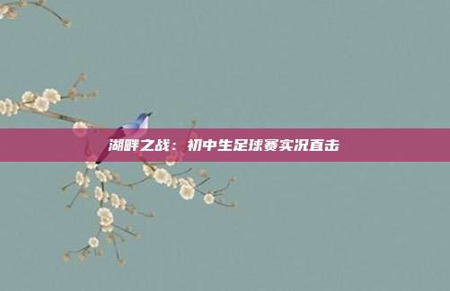 湖畔之战：初中生足球赛实况直击