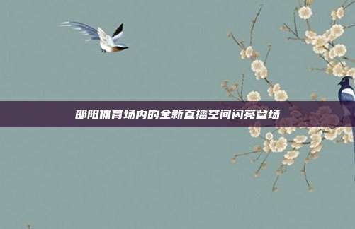 邵阳体育场内的全新直播空间闪亮登场