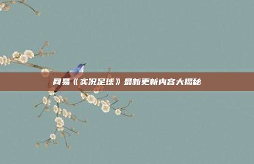 网易《实况足球》最新更新内容大揭秘