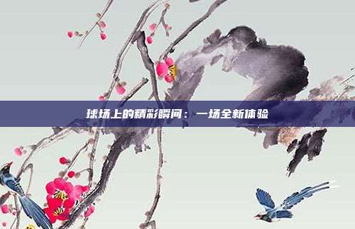 球场上的精彩瞬间：一场全新体验