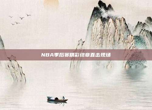 NBA季后赛精彩终章直击现场